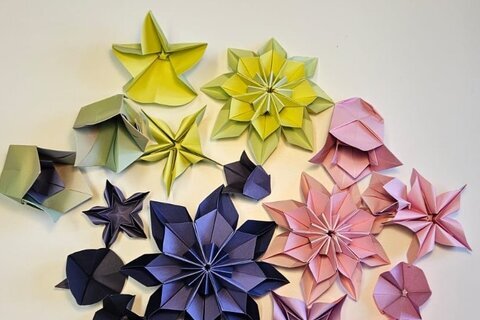 2026-05-09_Flower_WS_1