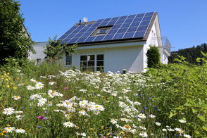 2024-06-05 Workshop Verbraucherzentrale Solaranlage Haus Wiese_Quelle alexandersw AdobeStock_212439550