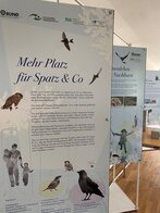 2024-09-25 Ausstellung Mehr Platz für Spatz & Cojpg