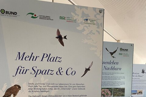 2024-09-25 Ausstellung Mehr Platz für Spatz & Cojpg