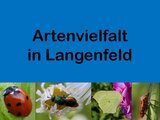 2025-06-14 Ausstellung Artenvielfalt