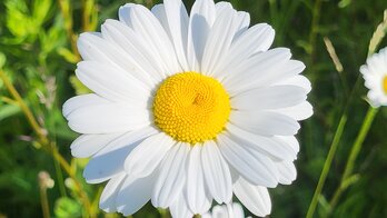 2026-05-16 Ausstellung Foto Querformat 