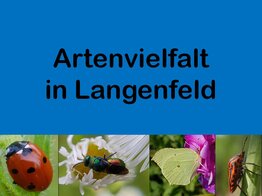 2025-06-14 Ausstellung Artenvielfalt