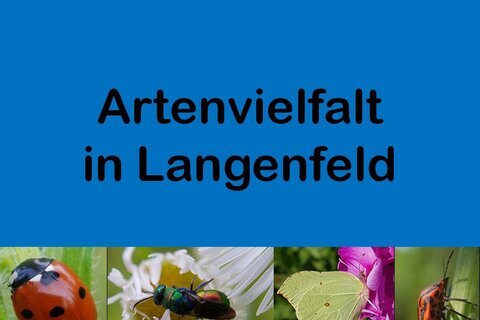 2025-06-14 Ausstellung Artenvielfalt