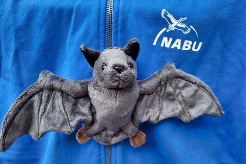 2025-09-19 Fledermaus