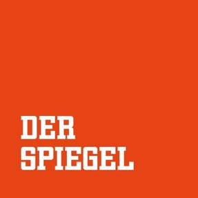 Goedaardig meteoor vergeven Spiegel Online
